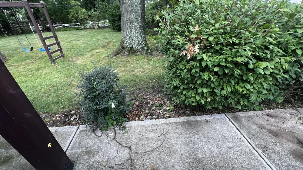 Top-rated yard maintenance near you across Shaker Heights, OH - Niko Washing Enterprise