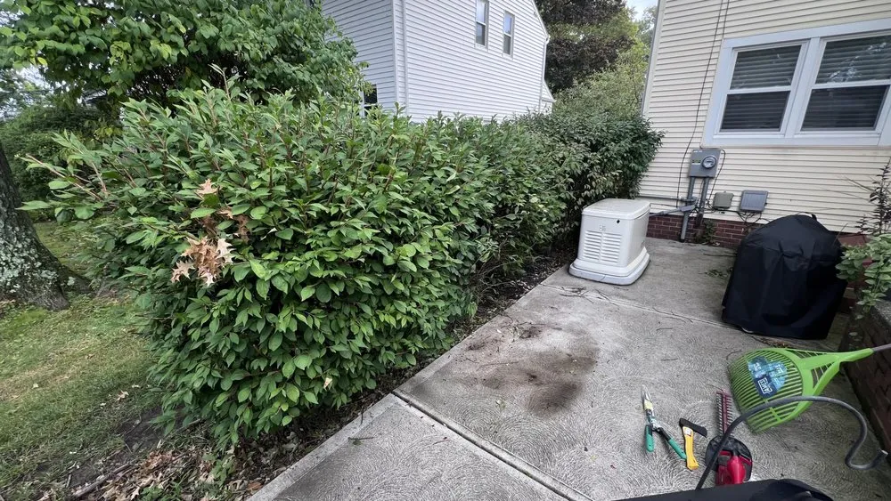 Trusted lawn mowing service for residential properties in Shaker Heights, OH by Niko Washing Enterprise