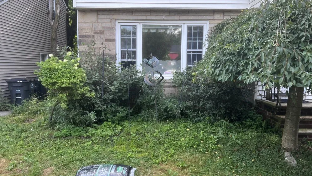 Reliable outdoor landscaping experts serving Shaker Heights, OH - Niko Washing Enterprise