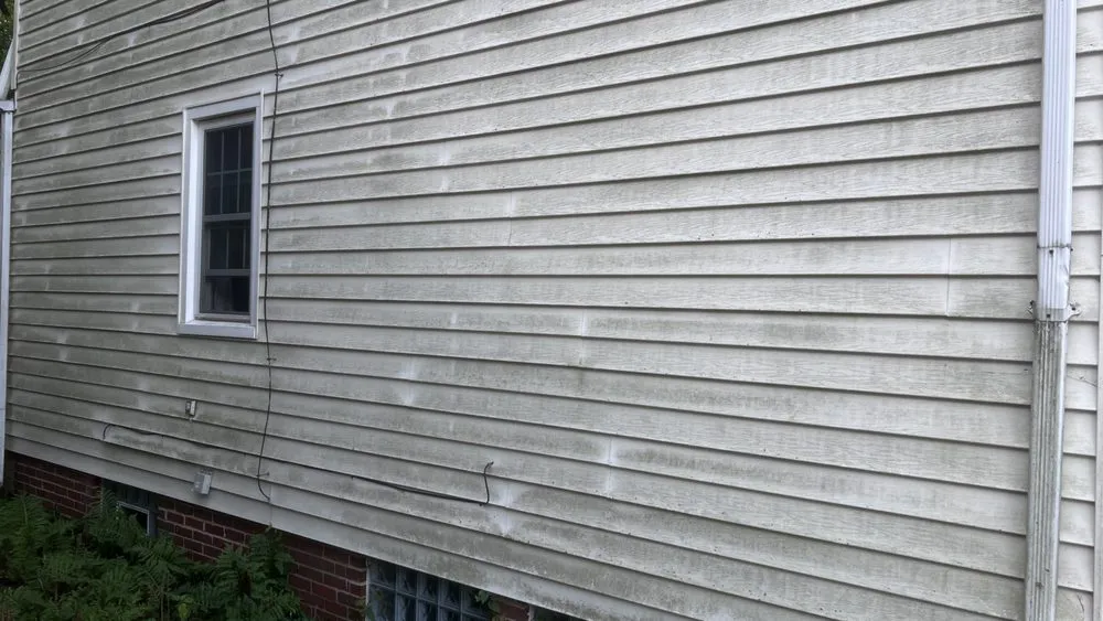 Reliable yard cleanup service in Shaker Heights, OH - Niko Washing Enterprise