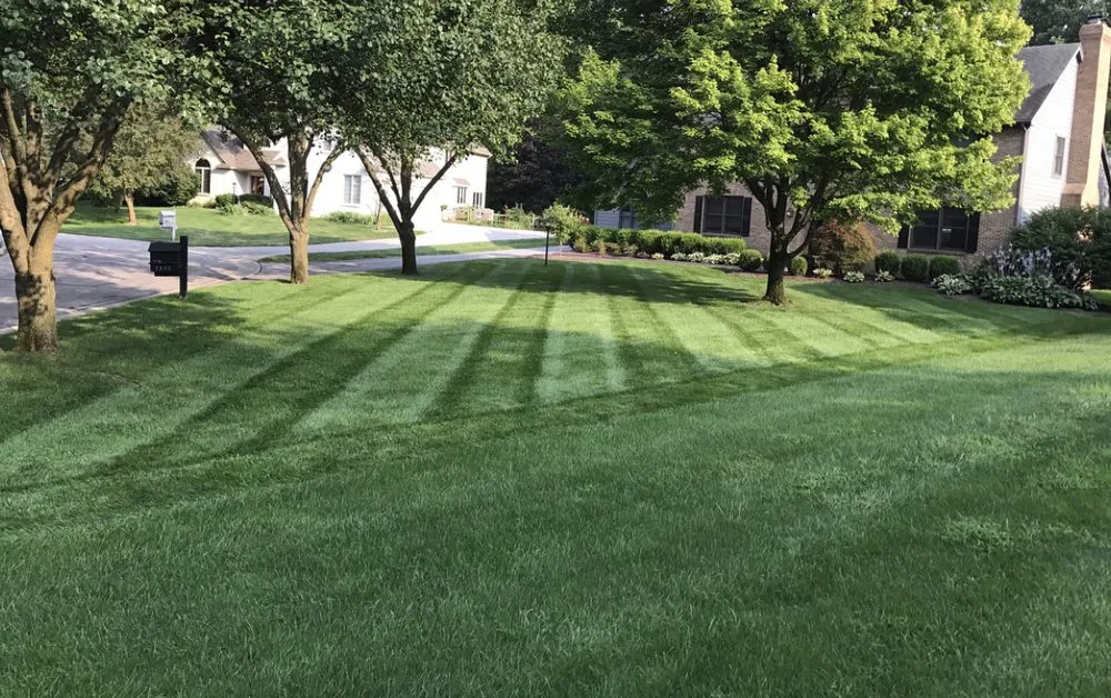 Reliable landscaping services experts serving Plainfield, NJ - Nikos Landscaping