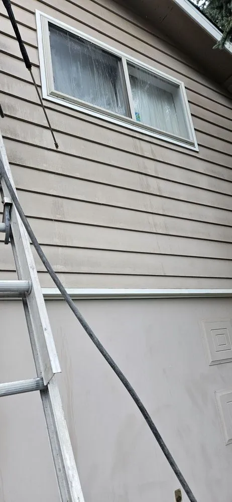 Local yard maintenance in Kenmore, WA - Nilo Handyman