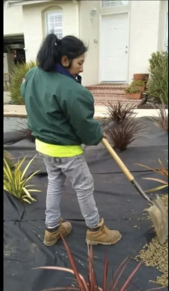 Expert landscape design experts serving San Jose, CA - Nina's Landscaping & Tree Care