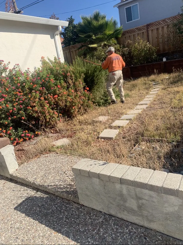 Affordable outdoor landscaping for year-round maintenance across San Jose, CA - Nina's Landscaping & Tree Care