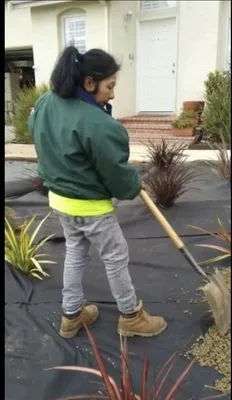 Nina's Landscaping & Tree Care Logo