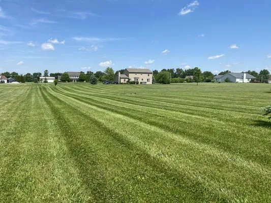 Nine Lines Lawn Care Logo