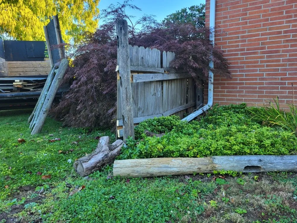 Affordable yard cleanup service for beautiful yards in Hellertown, PA by Nine Sixteen