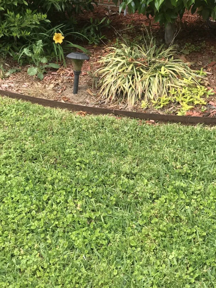 Custom lawn mowing service in El Dorado, AR - Nine to Five Lawn Care