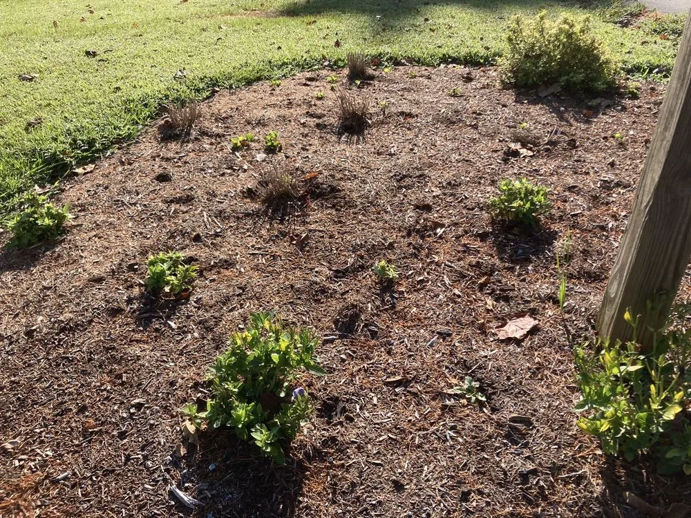 Local outdoor landscaping experts serving Coatesville, PA - Ninebark Landscaping