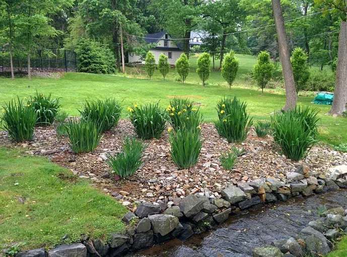 Top-rated landscaping services in Coatesville, PA - Ninebark Landscaping