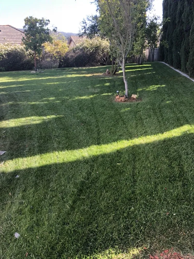 Reliable landscape design experts serving Orcutt, CA - Ninja Lawn Maintenance