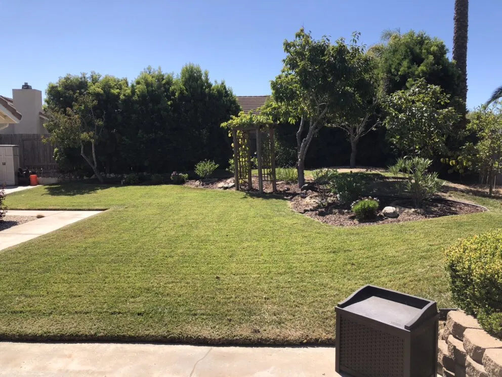 Expert landscape installation in Orcutt, CA - Ninja Lawn Maintenance