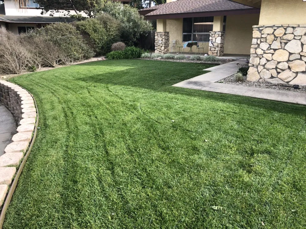 Professional garden landscaping experts serving Orcutt, CA - Ninja Lawn Maintenance