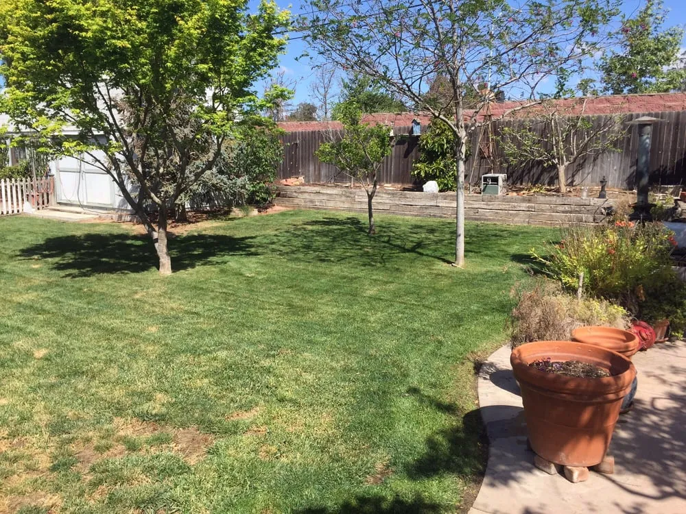 Custom residential landscaping in Orcutt, CA by Ninja Lawn Maintenance