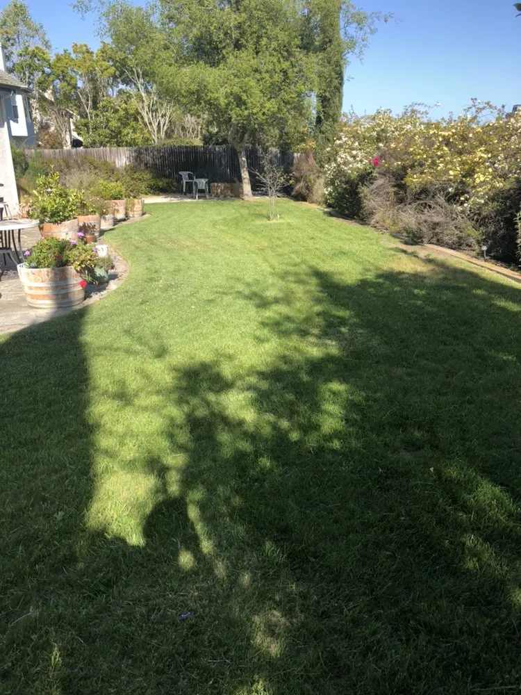 Professional garden landscaping in Orcutt, CA by Ninja Lawn Maintenance