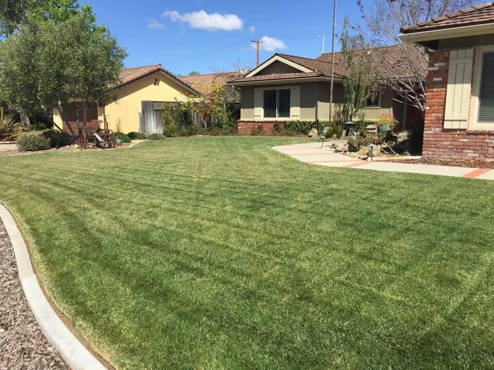 Custom landscape installation for outdoor upgrades in Orcutt, CA by Ninja Lawn Maintenance