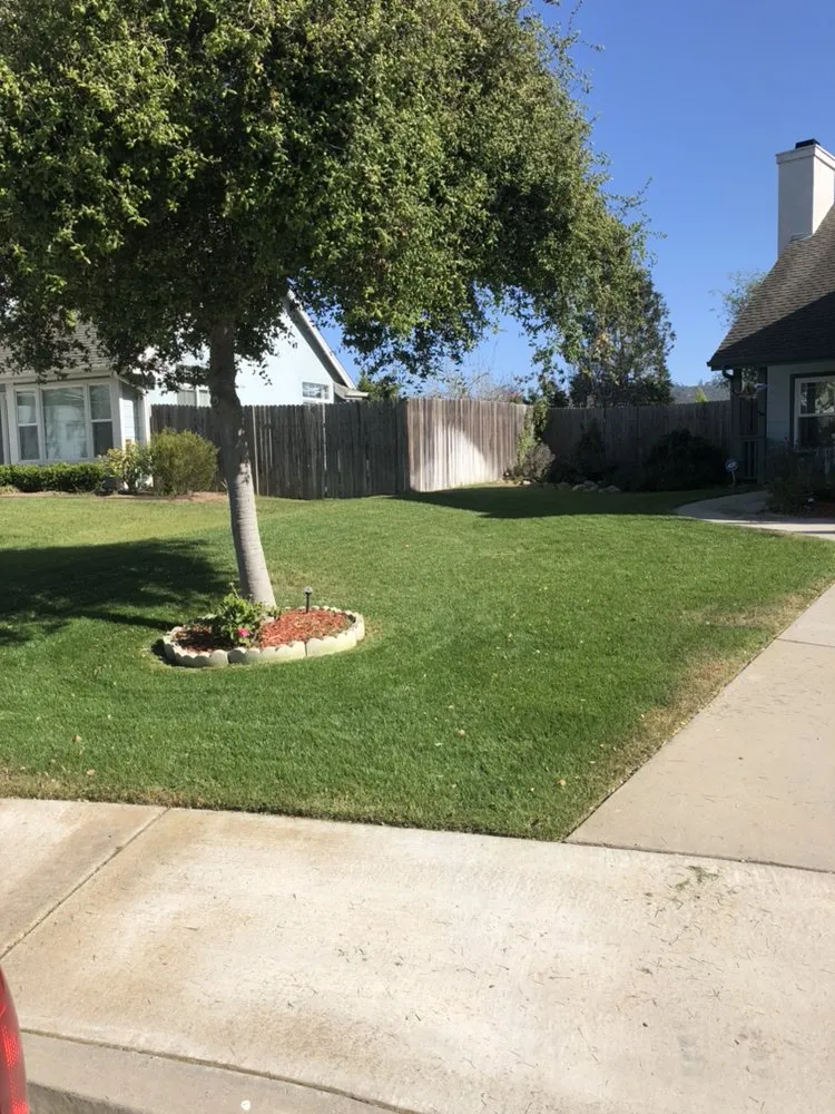Top-rated landscaping services for beautiful yards in Orcutt, CA by Ninja Lawn Maintenance