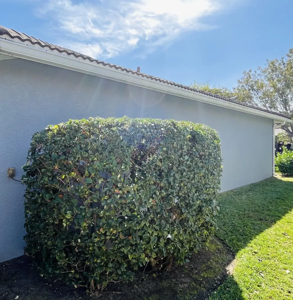 Reliable lawn mowing service in Cape Coral, FL by Ninja Lawncare