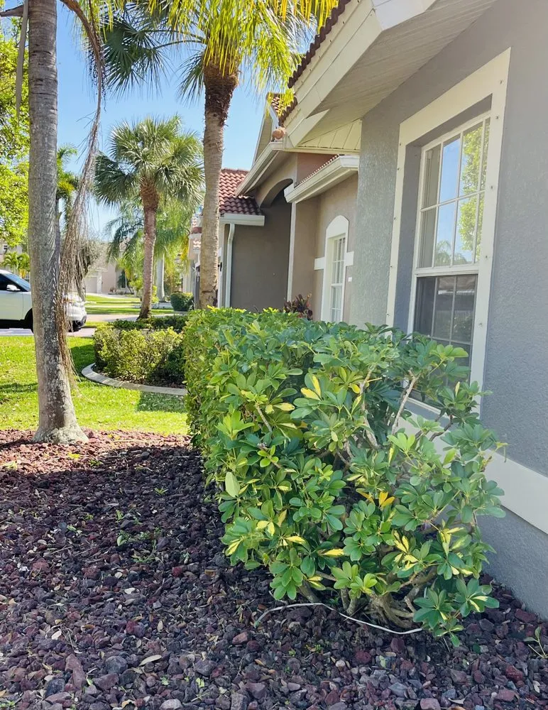 Affordable yard cleanup service experts serving Cape Coral, FL - Ninja Lawncare