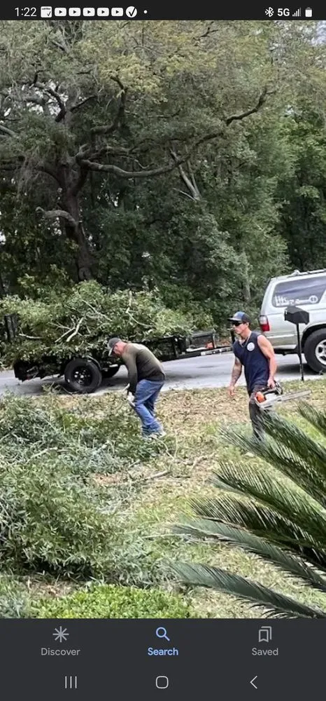 Top-rated landscaping services experts serving Belleview, FL - Ninja Tree Care & Service