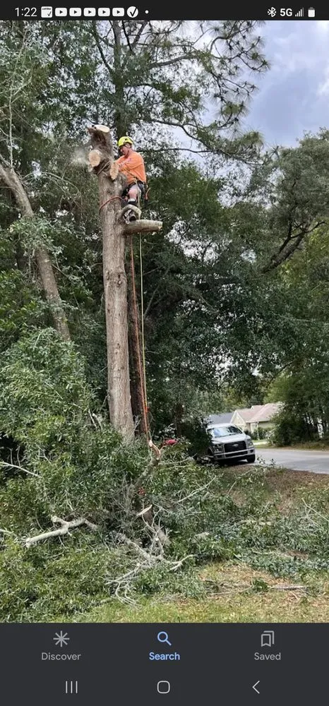 Affordable garden landscaping with custom design across Belleview, FL - Ninja Tree Care & Service