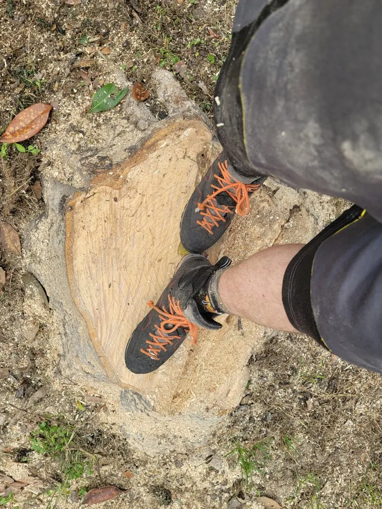 Custom landscaping services experts serving Belleview, FL - Ninja Tree Care & Service