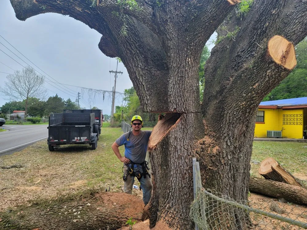 Custom residential landscaping for outdoor upgrades in Belleview, FL by Ninja Tree Care & Service