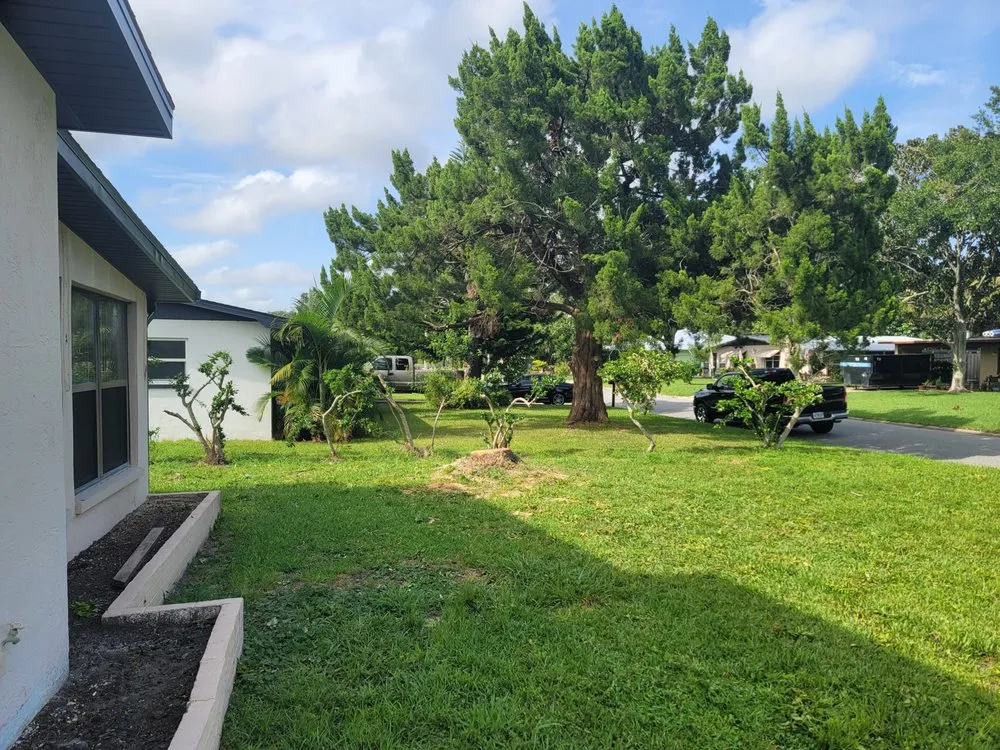Reliable landscape installation in Belleview, FL - Ninja Tree Care & Service