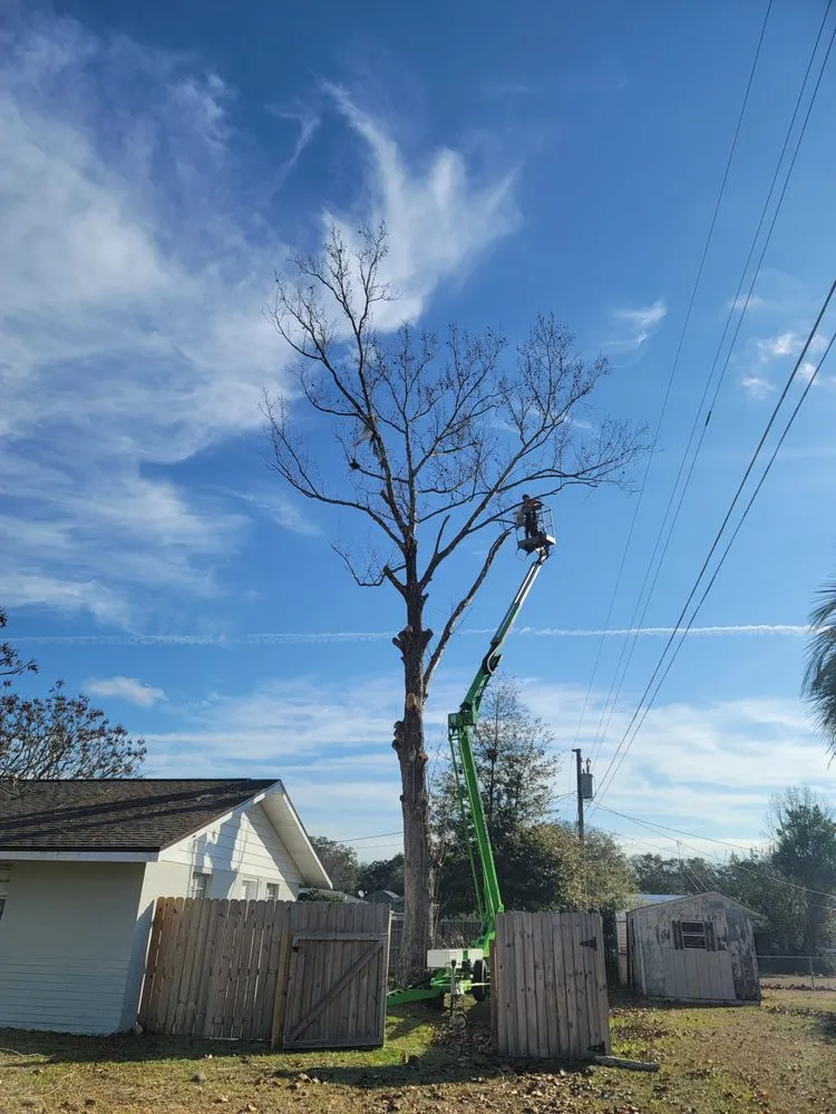 Reliable landscape installation in Belleview, FL by Ninja Tree Care & Service