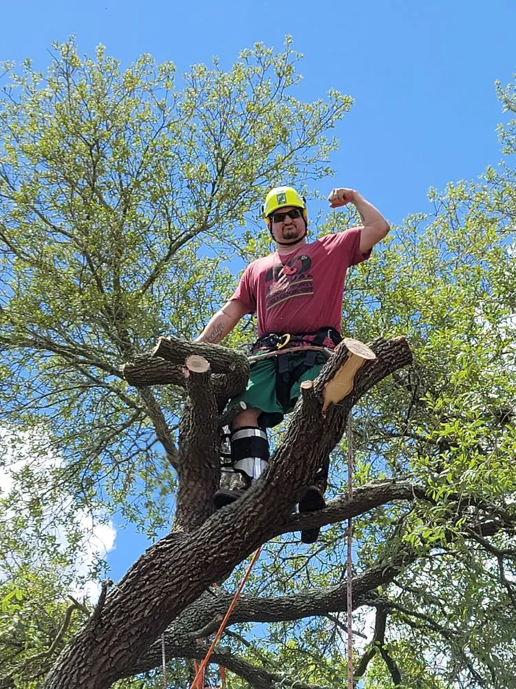 Local yard cleanup service in Belleview, FL by Ninja Tree Care & Service