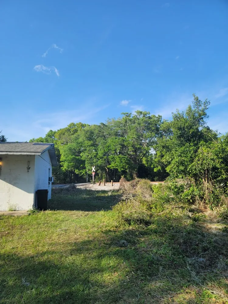 Expert outdoor landscaping near you across Belleview, FL - Ninja Tree Care & Service