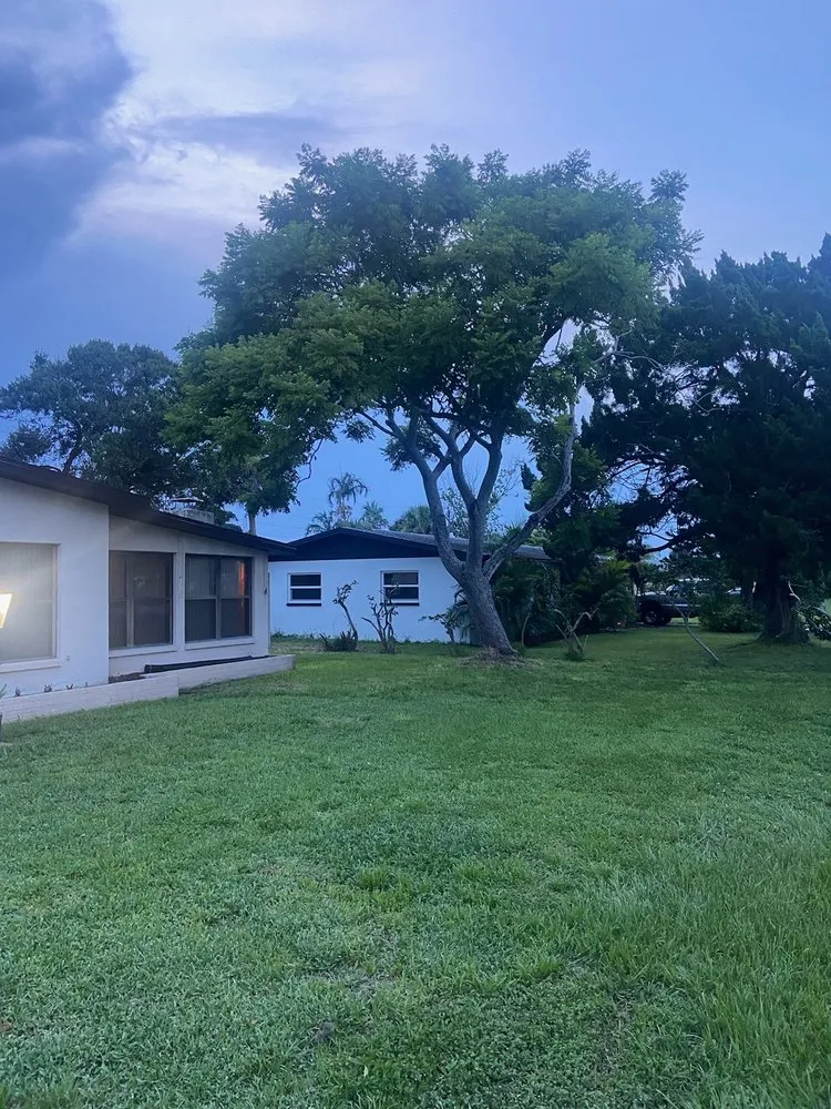 Expert landscape installation in Belleview, FL - Ninja Tree Care & Service