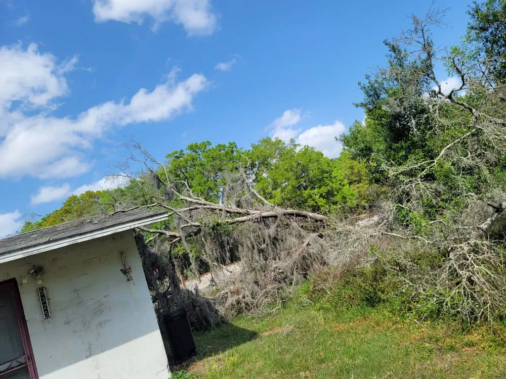 Affordable garden landscaping in Belleview, FL by Ninja Tree Care & Service