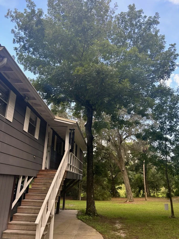 Local outdoor landscaping with custom design in Belleview, FL by Ninja Tree Care & Service