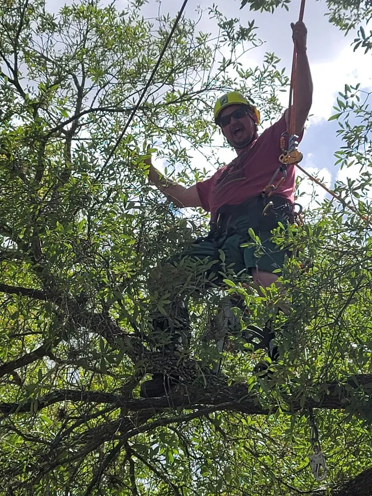 Trusted lawn mowing service in Belleview, FL - Ninja Tree Care & Service