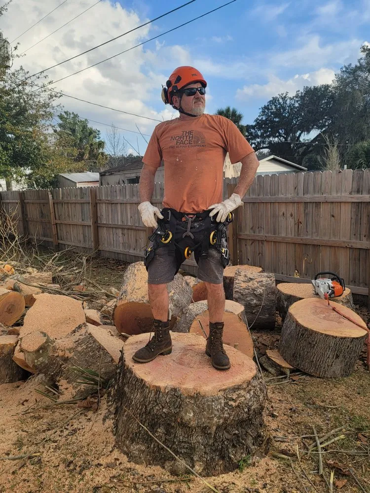 Reliable lawn care service for beautiful yards across Belleview, FL - Ninja Tree Care & Service