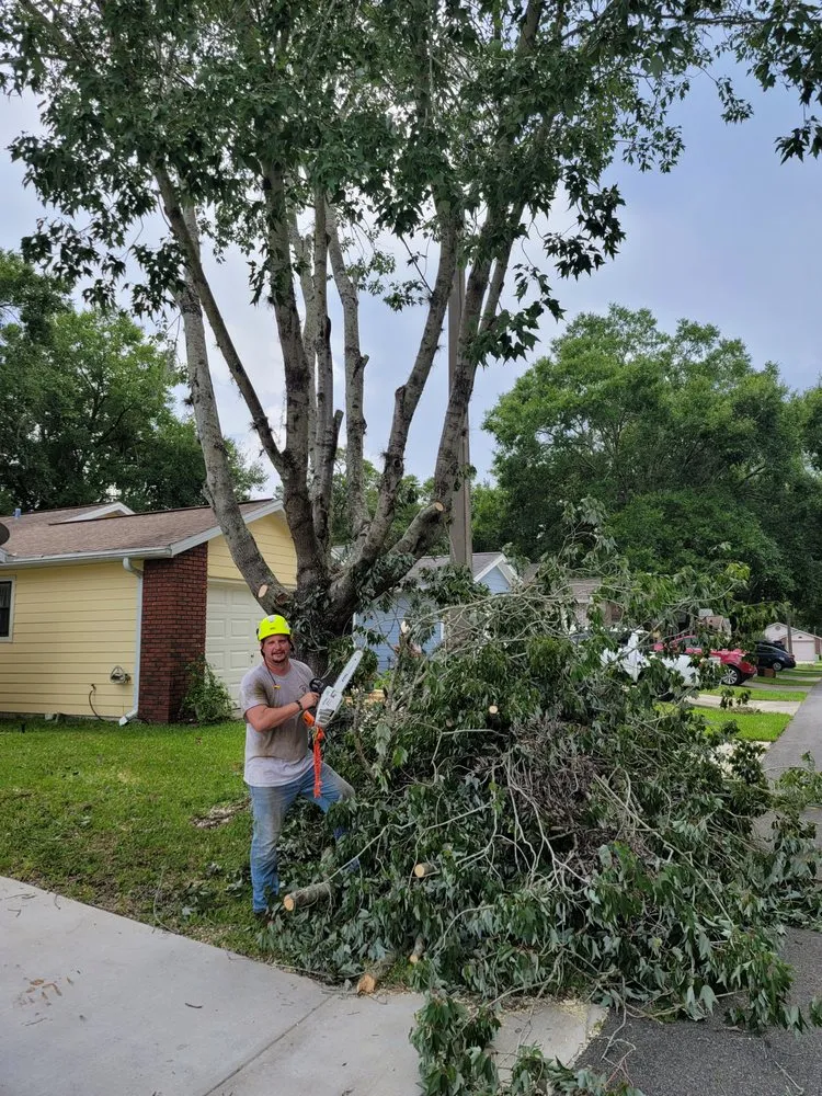 Reliable yard cleanup service in Belleview, FL - Ninja Tree Care & Service