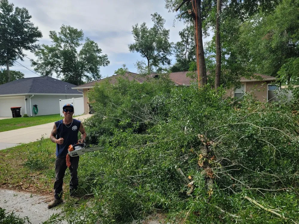 Trusted yard cleanup service in Belleview, FL by Ninja Tree Care & Service