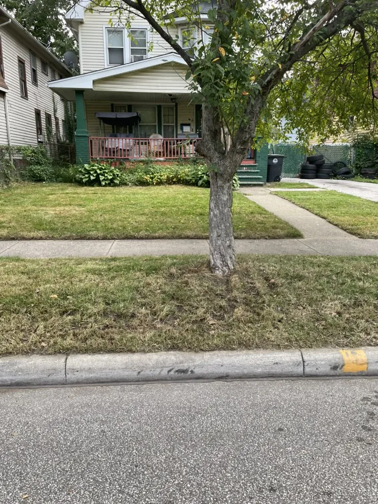 Trusted landscape design with custom design across Euclid, OH - NinjaCutters Landscaping