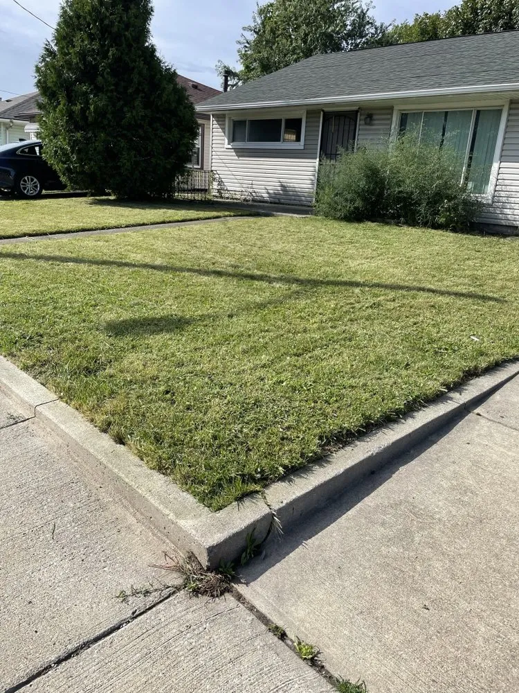 Affordable lawn care service for beautiful yards in Euclid, OH by NinjaCutters Landscaping