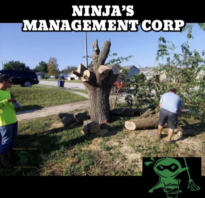 Professional garden landscaping in Lake Mary, FL - NINJS CORP