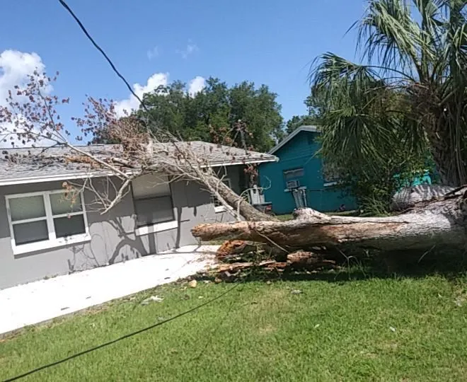 Top-rated outdoor landscaping in Lake Mary, FL - NINJS CORP