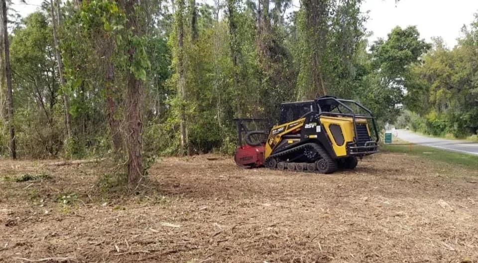 Expert landscape installation for outdoor upgrades across Lake Mary, FL - NINJS CORP