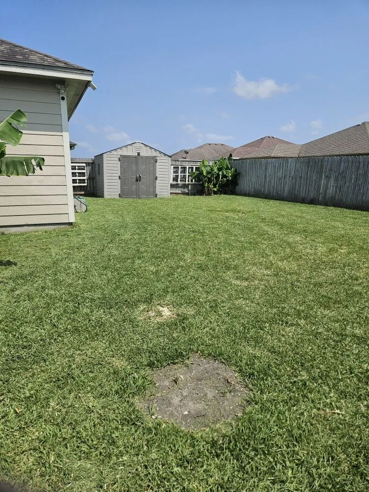 Affordable landscape installation for outdoor upgrades across Corpus Christi, TX - Nino's Kingdom Landscaping