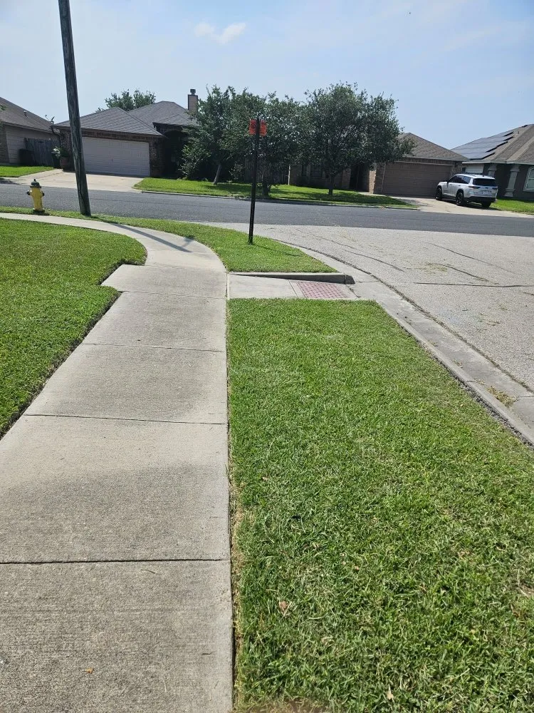 Professional yard cleanup service for residential properties in Corpus Christi, TX by Nino's Kingdom Landscaping