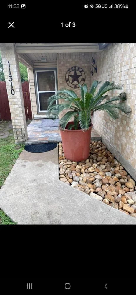 Trusted landscape installation in Corpus Christi, TX by Nino's Kingdom Landscaping