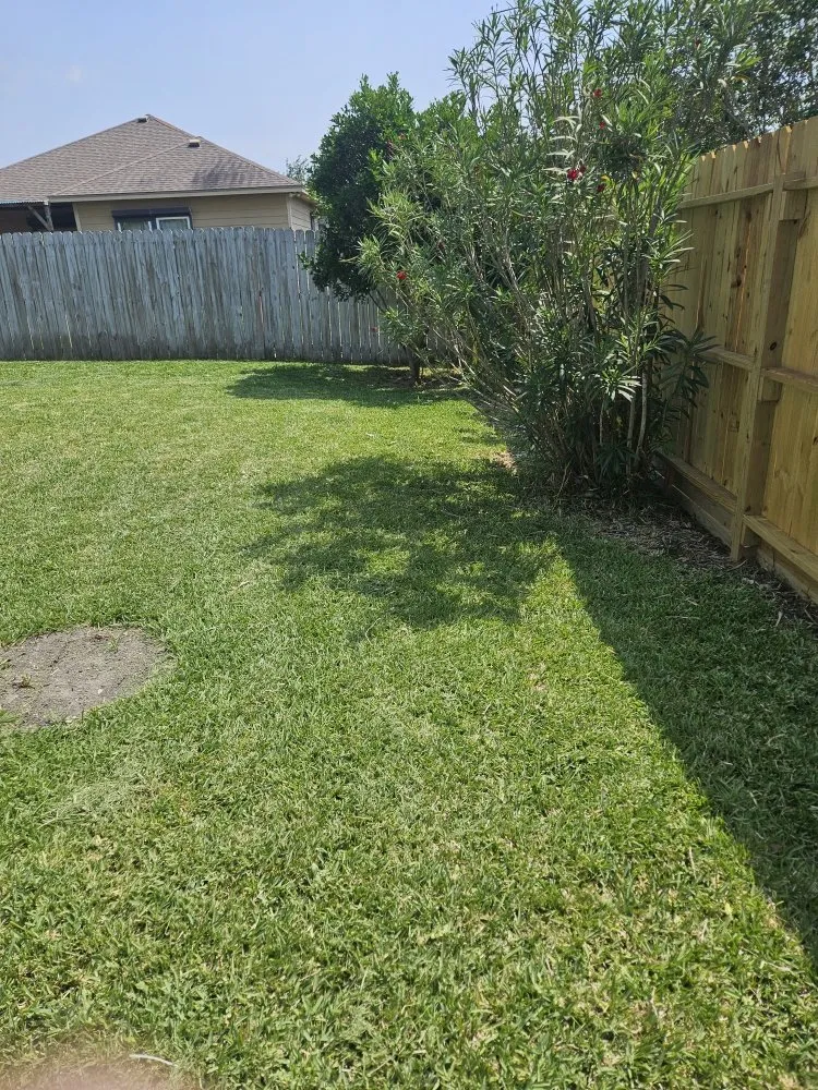 Local lawn care service in Corpus Christi, TX by Nino's Kingdom Landscaping