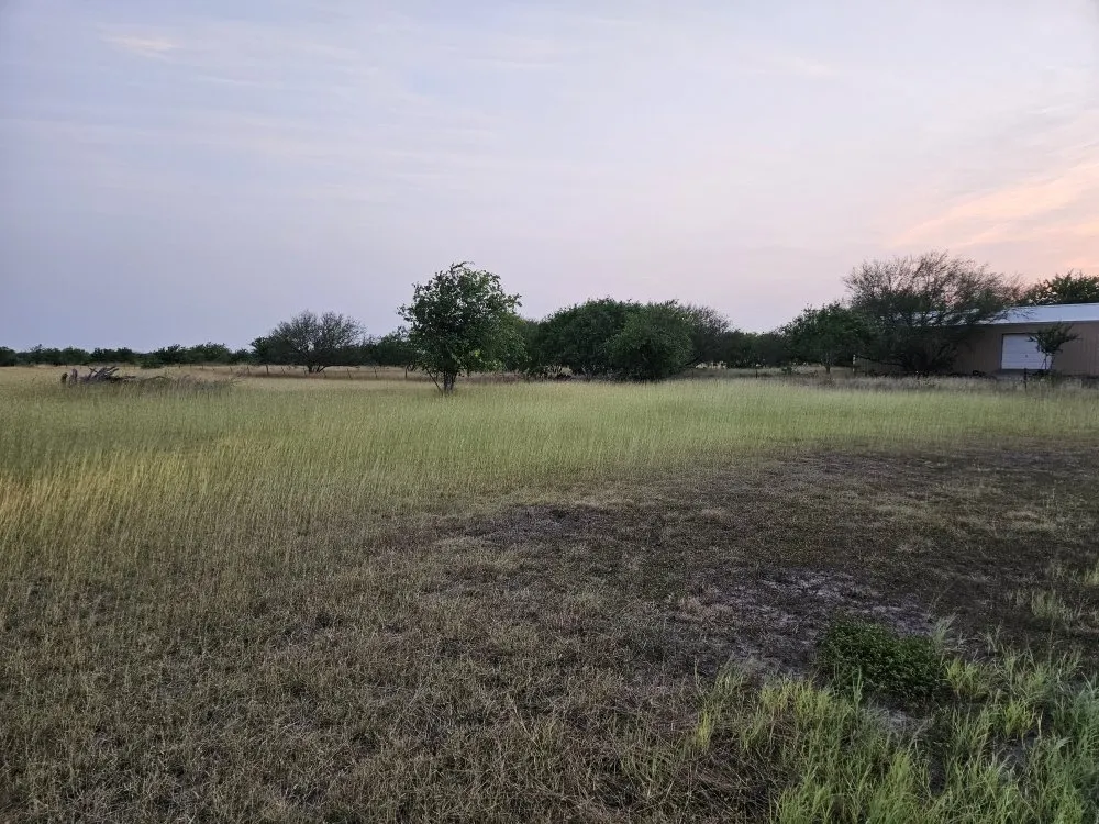 Reliable yard cleanup service in Corpus Christi, TX - Nino's Kingdom Landscaping