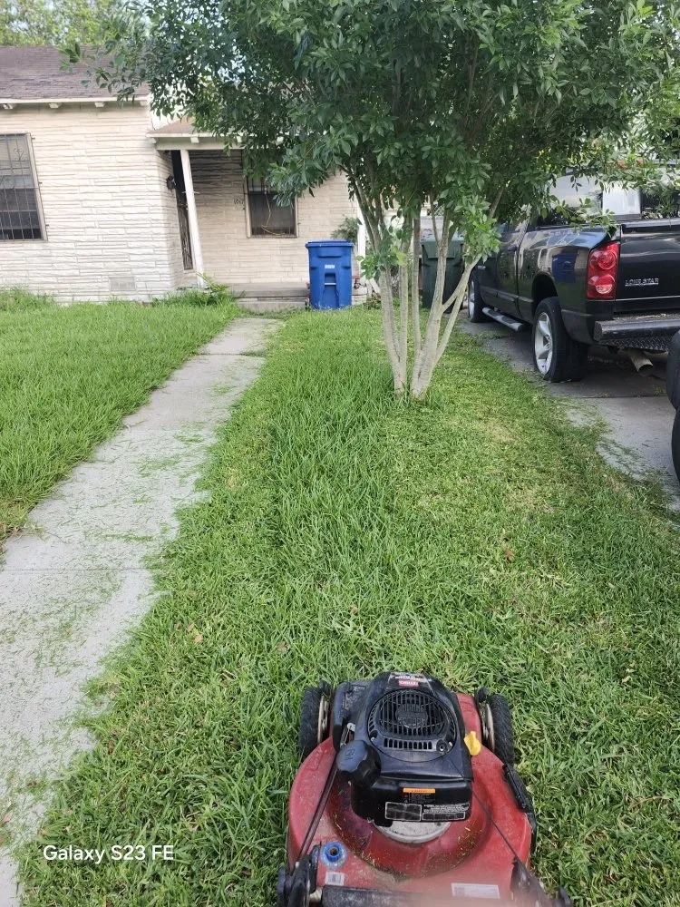 Custom landscape design for beautiful yards across Corpus Christi, TX - Nino's Kingdom Landscaping