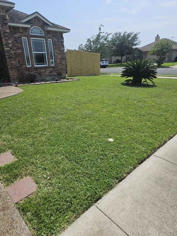 Expert landscaping services for year-round maintenance in Corpus Christi, TX by Nino's Kingdom Landscaping